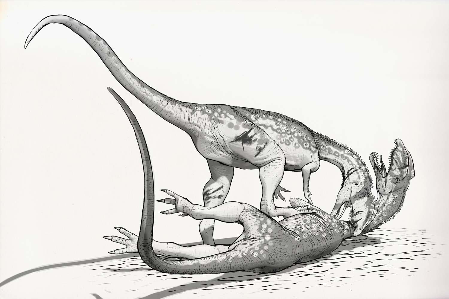 Картинки динозавров нарисовать. Тираннозавр и Диплодок. Теризинозавр палеоарт. Дилофозавр. Динозавр рисунок.