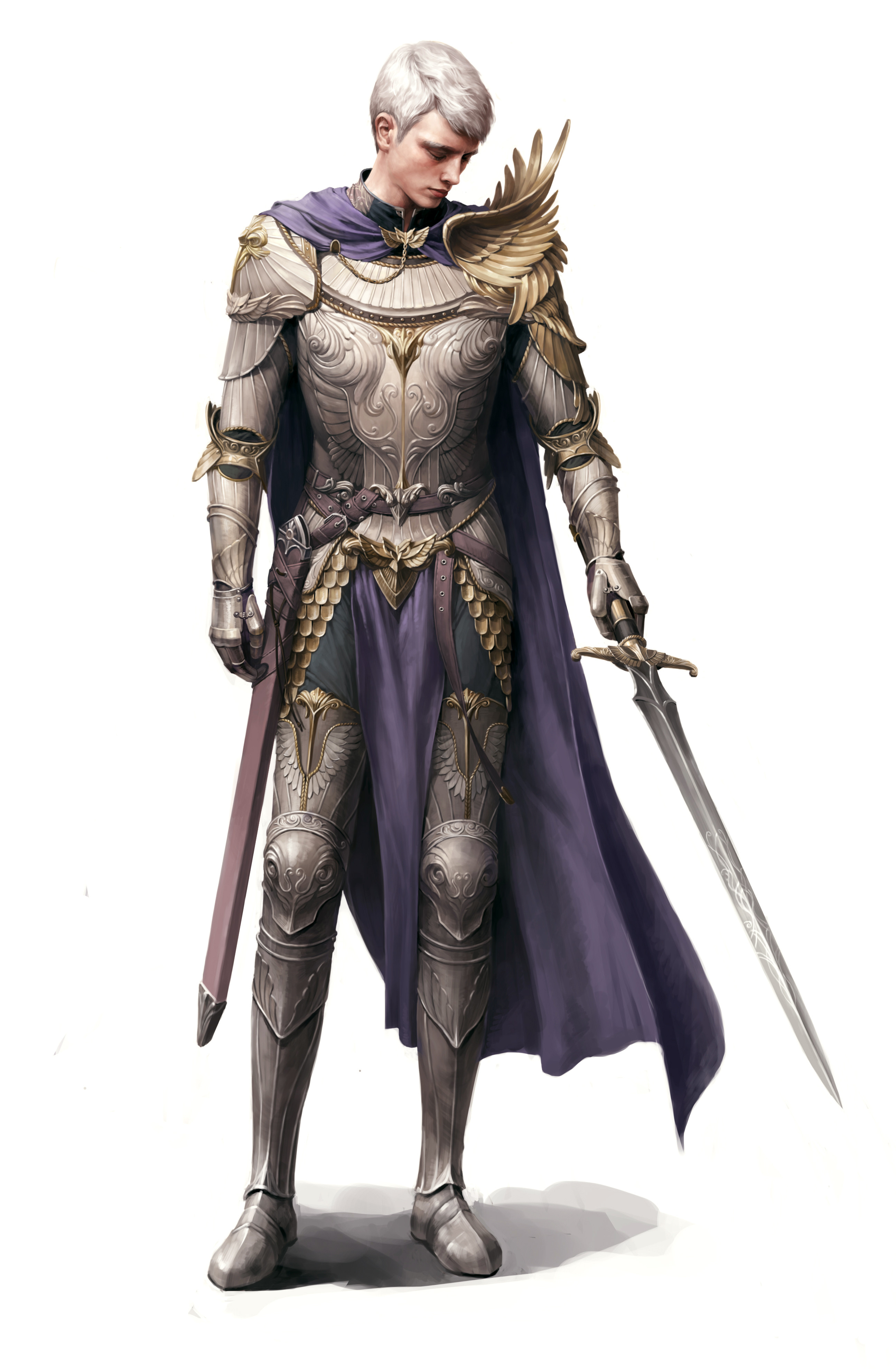 Siwoo Kim Paladin