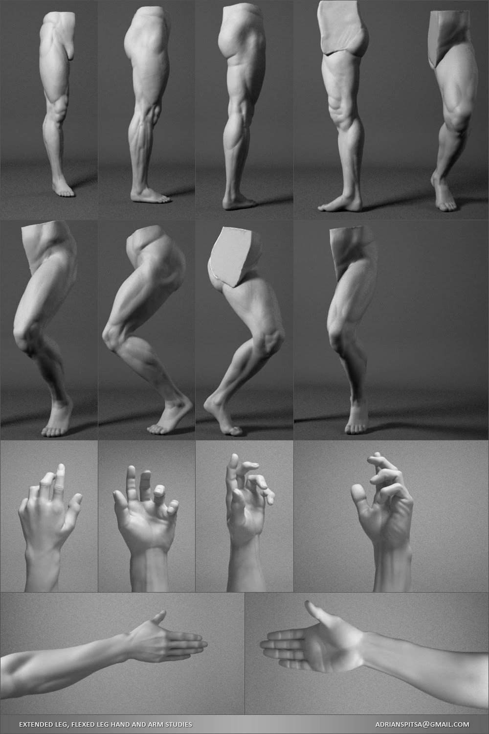Hand &amp; Leg Studies