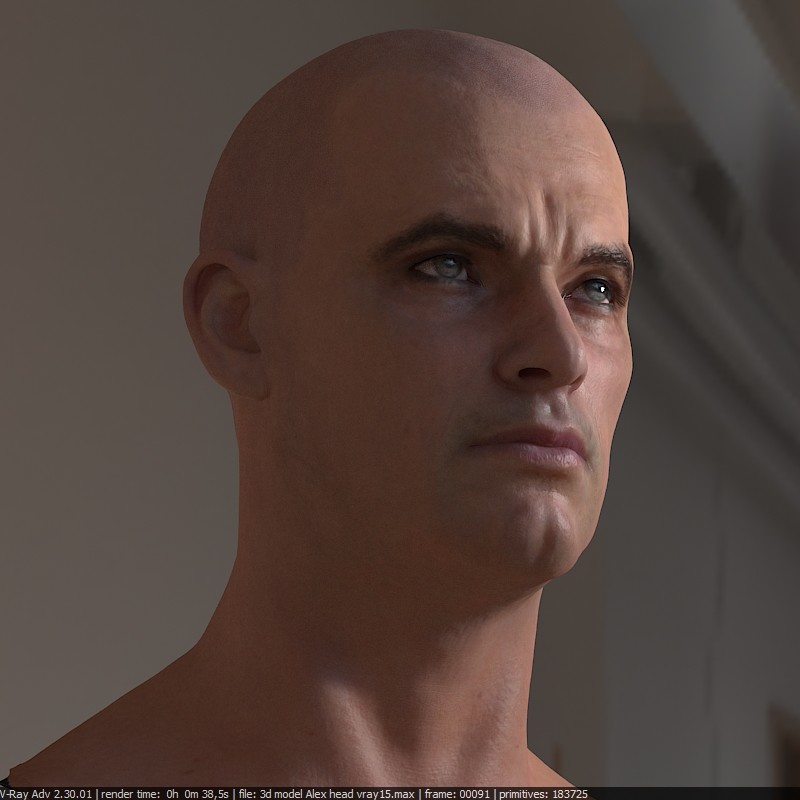 Artstation 3d Model Human Head Low Poly Stephan Plotnicov