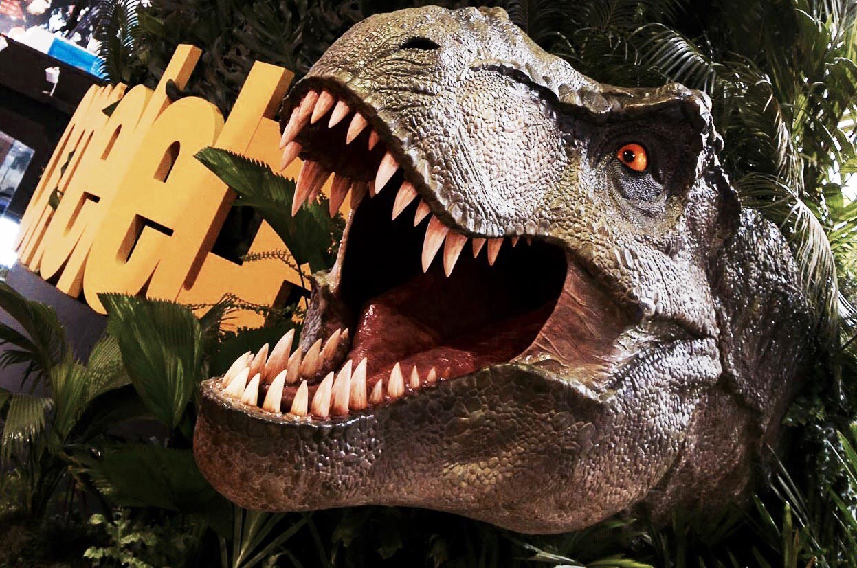 t rex head size