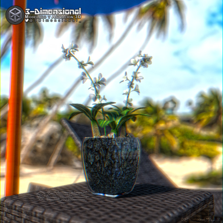 Beach Lounge Chair