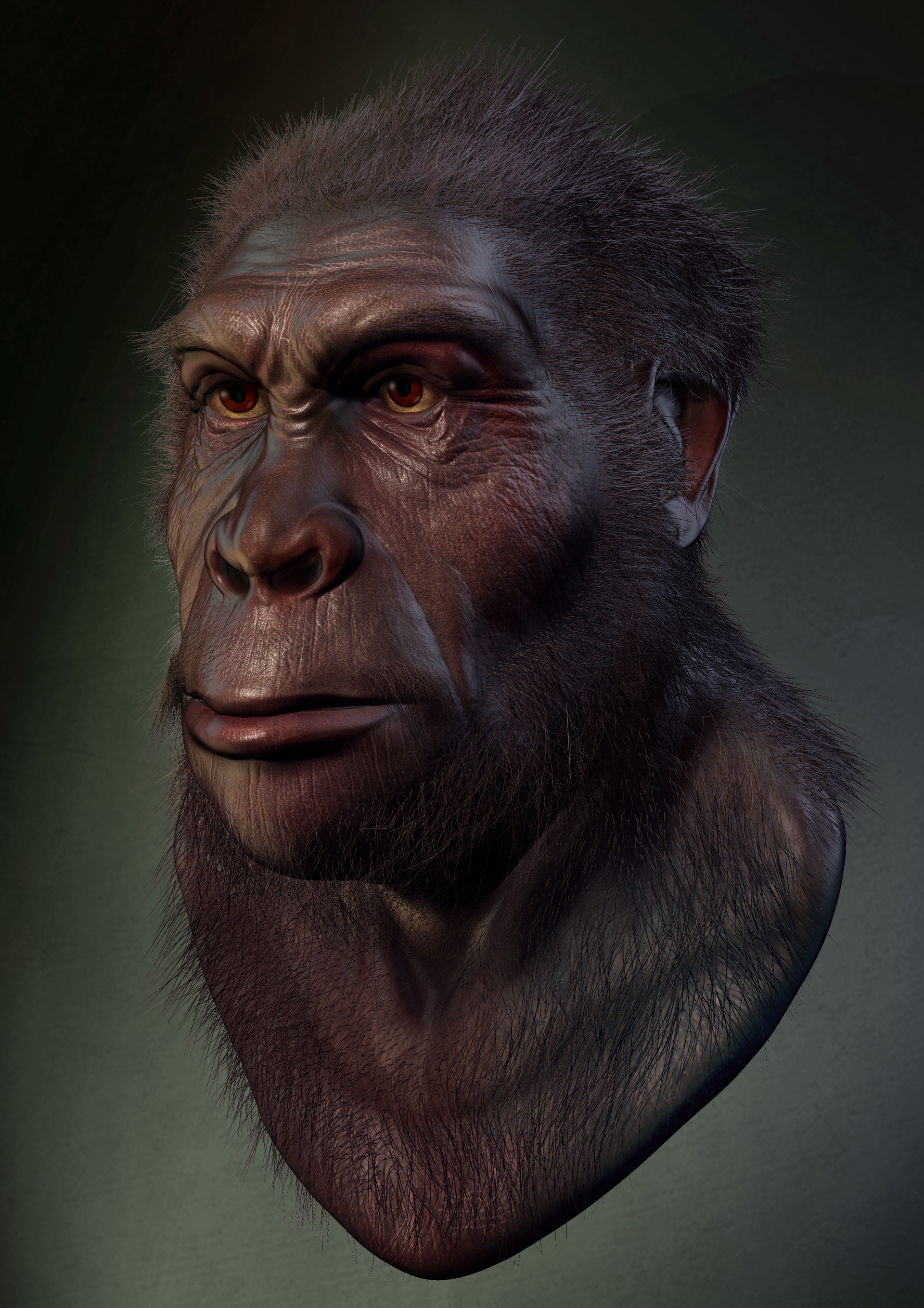 Человек умелый. Хомо хабилис. Homo homo habilis. Человек homo habilis. Гоминид хабилис.