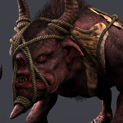 orc for riders ! _ 2014