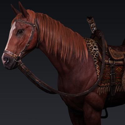 horse _ 2013