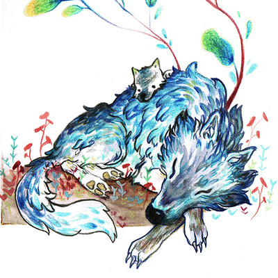 Angelina costamagna wolf