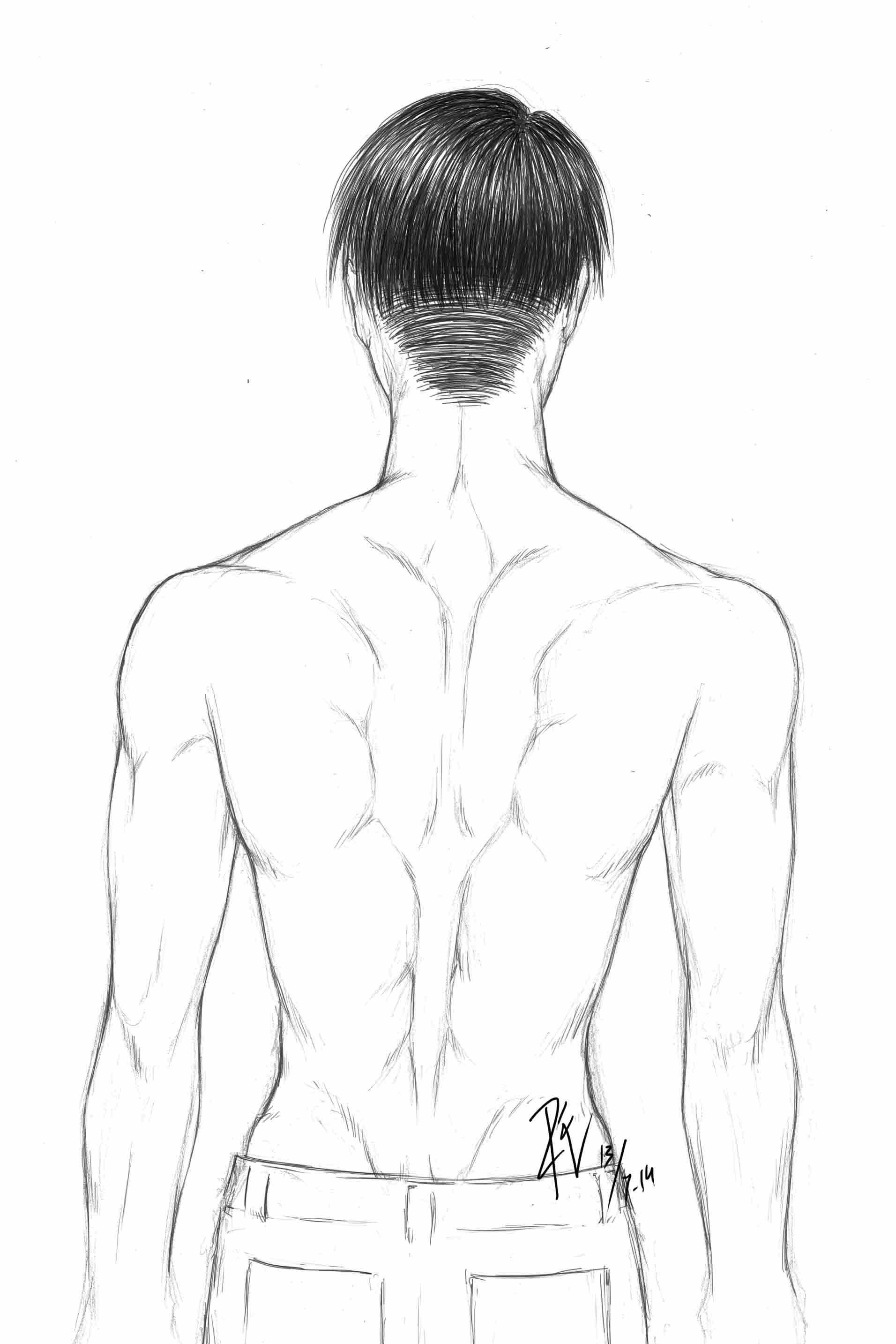 How To Draw The Torso: Back View