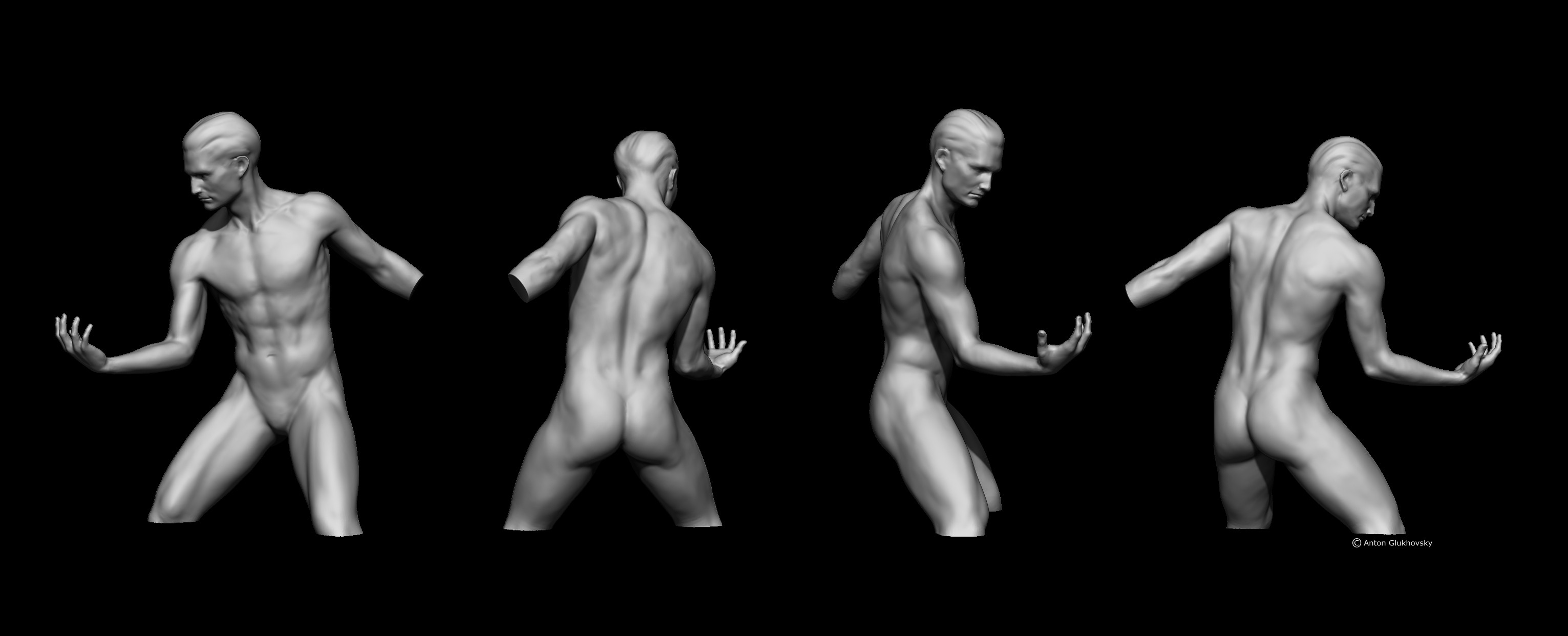 male torso study
