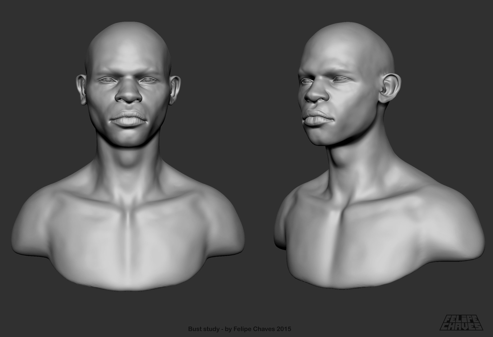 Generic Bust Studies