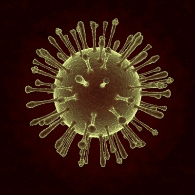 Resultado de imagen para virus zika, gif