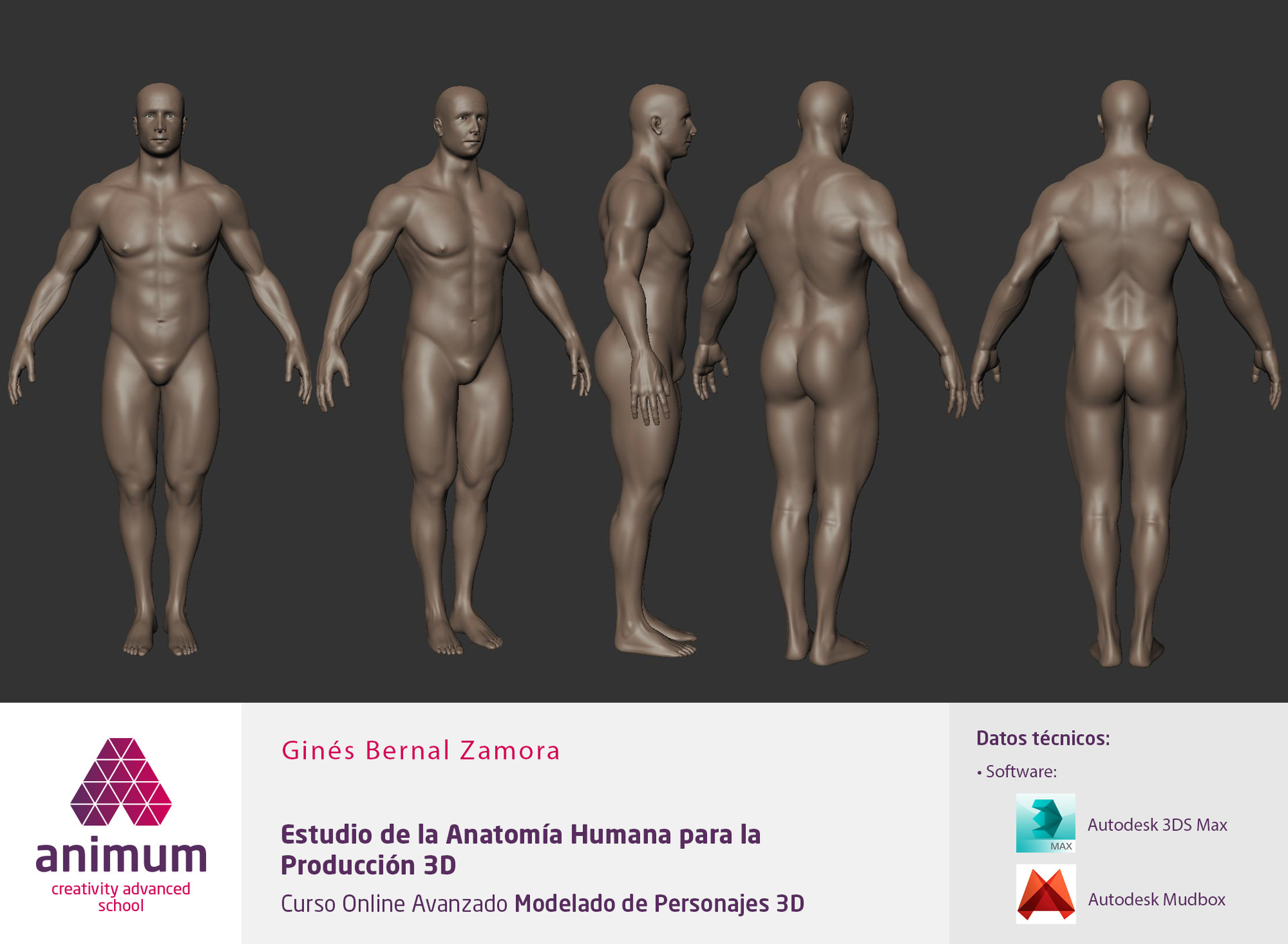Artstation Study Of Human Anatomy Tituss