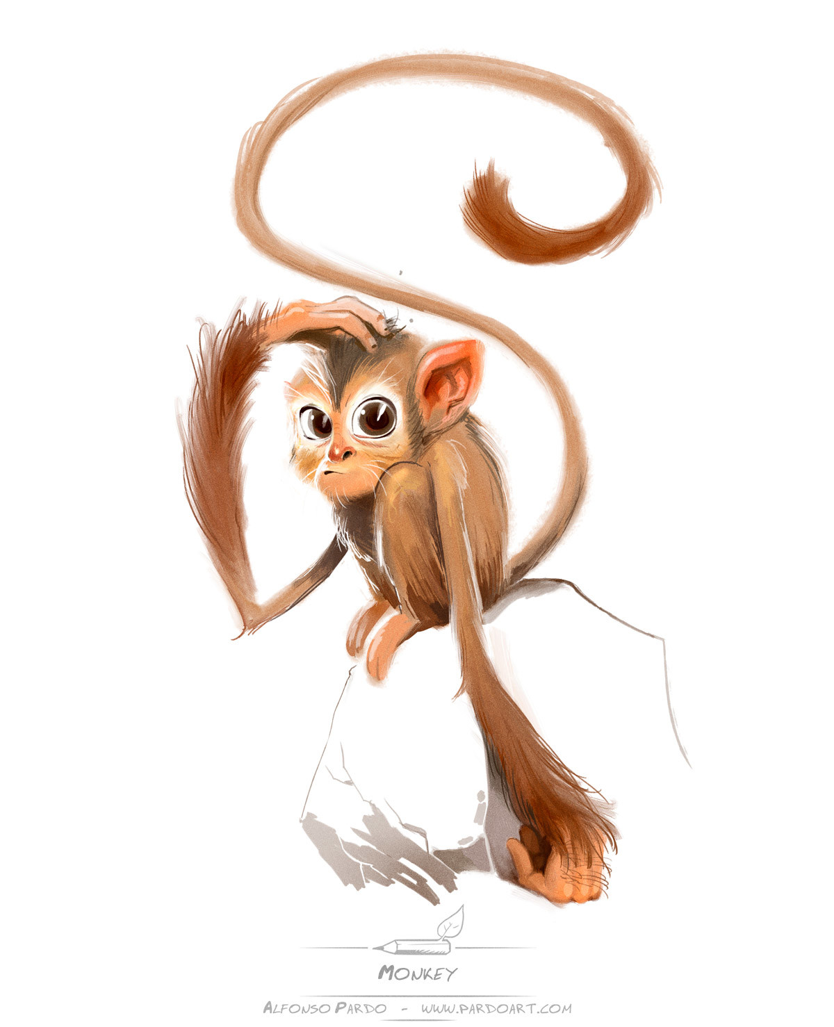 Monkey sketch