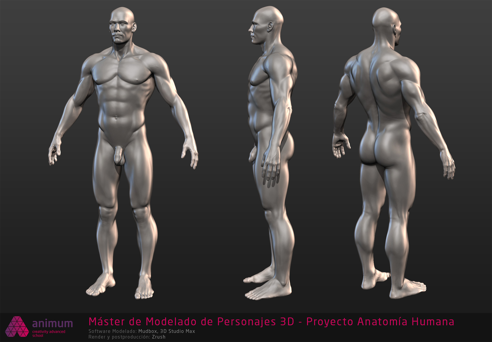 Artstation Human Anatomy Modeling Project Xavi Noguera