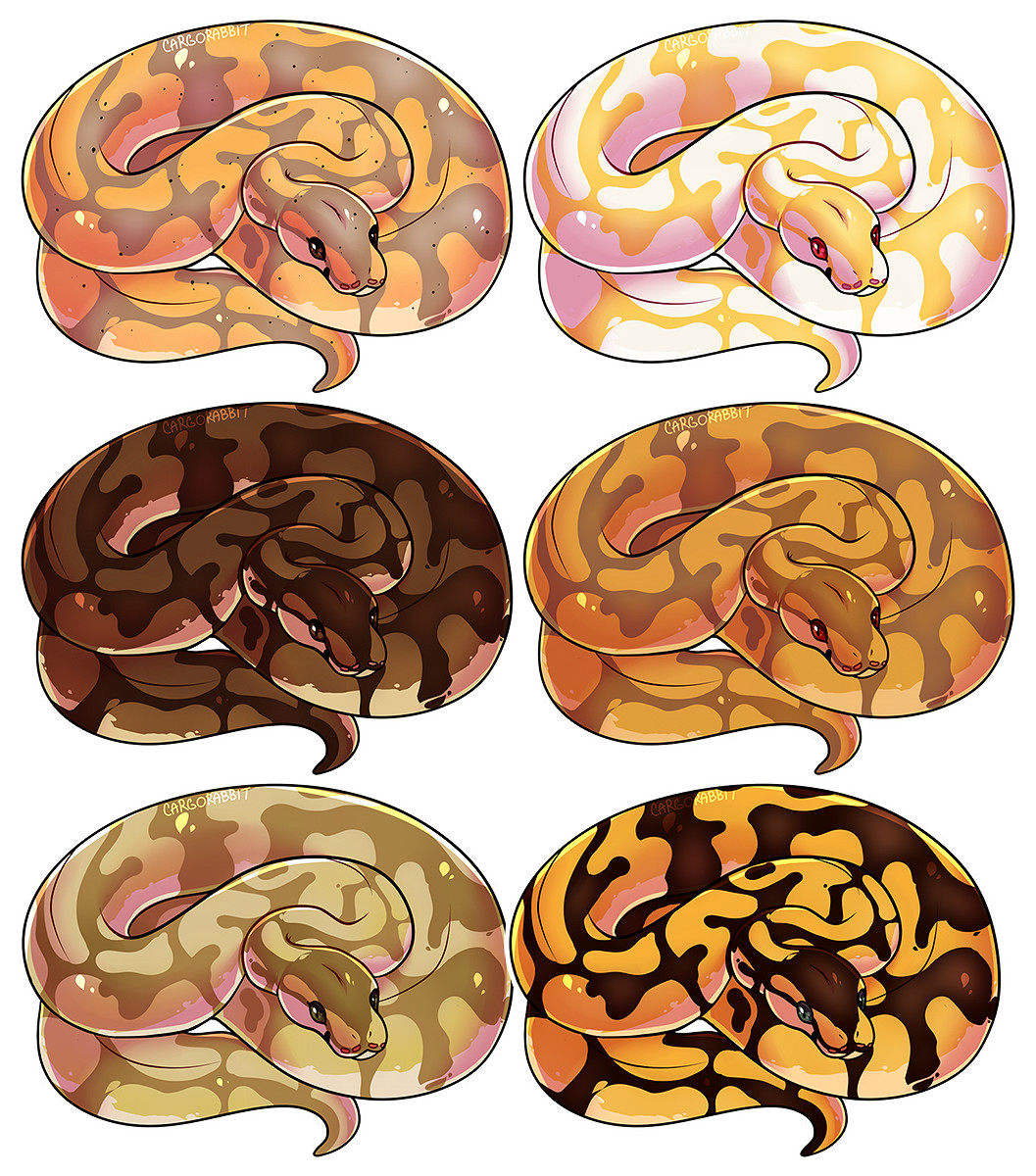 ArtStation - Ball Pythons