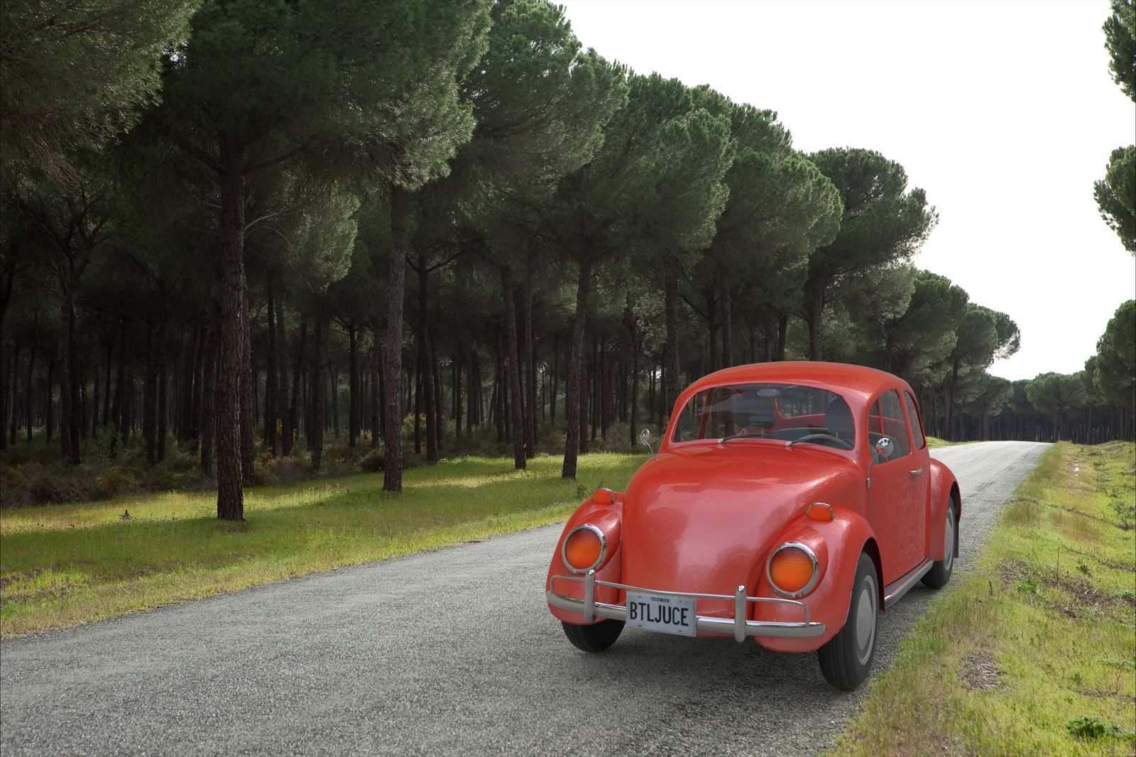 Beetle