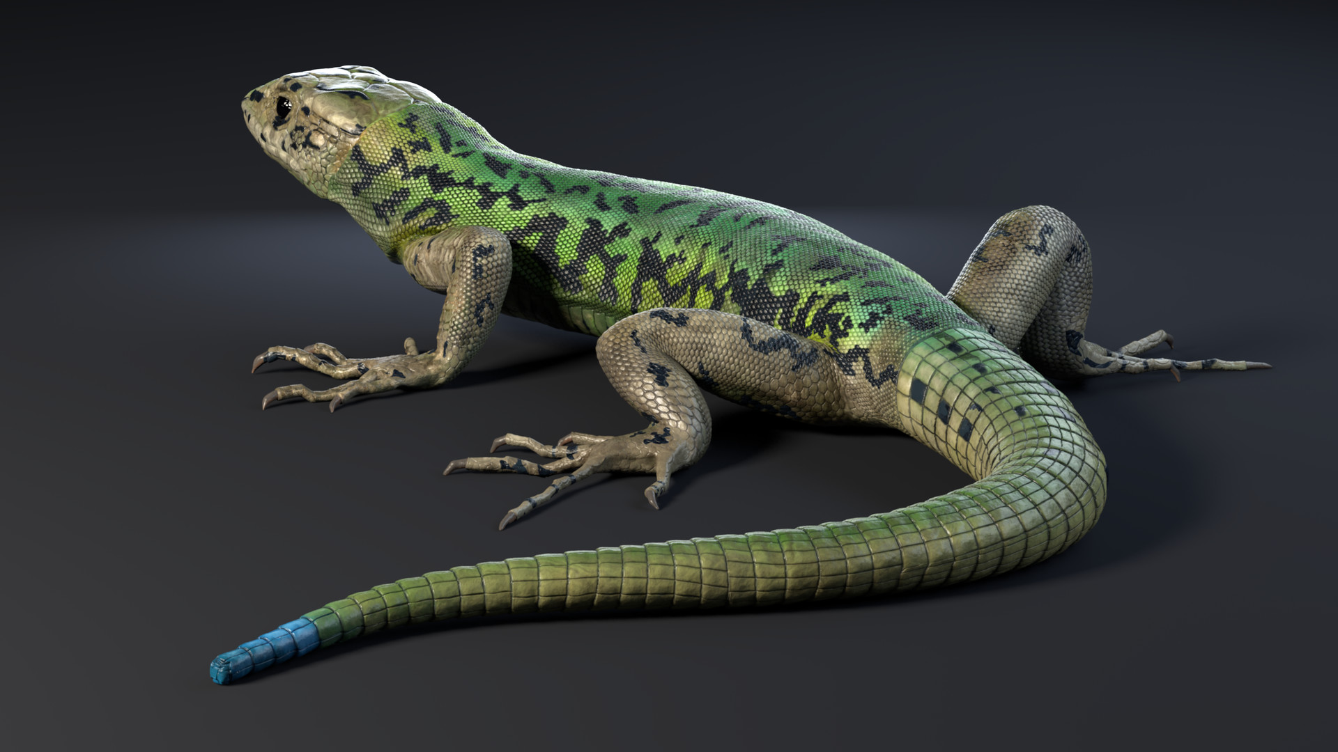 Artstation Lezard Packshot And Incrustation