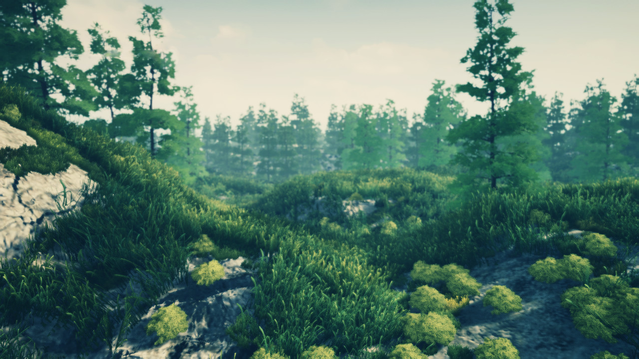 John Doe Unreal Engine 4 Grass Land Level Design