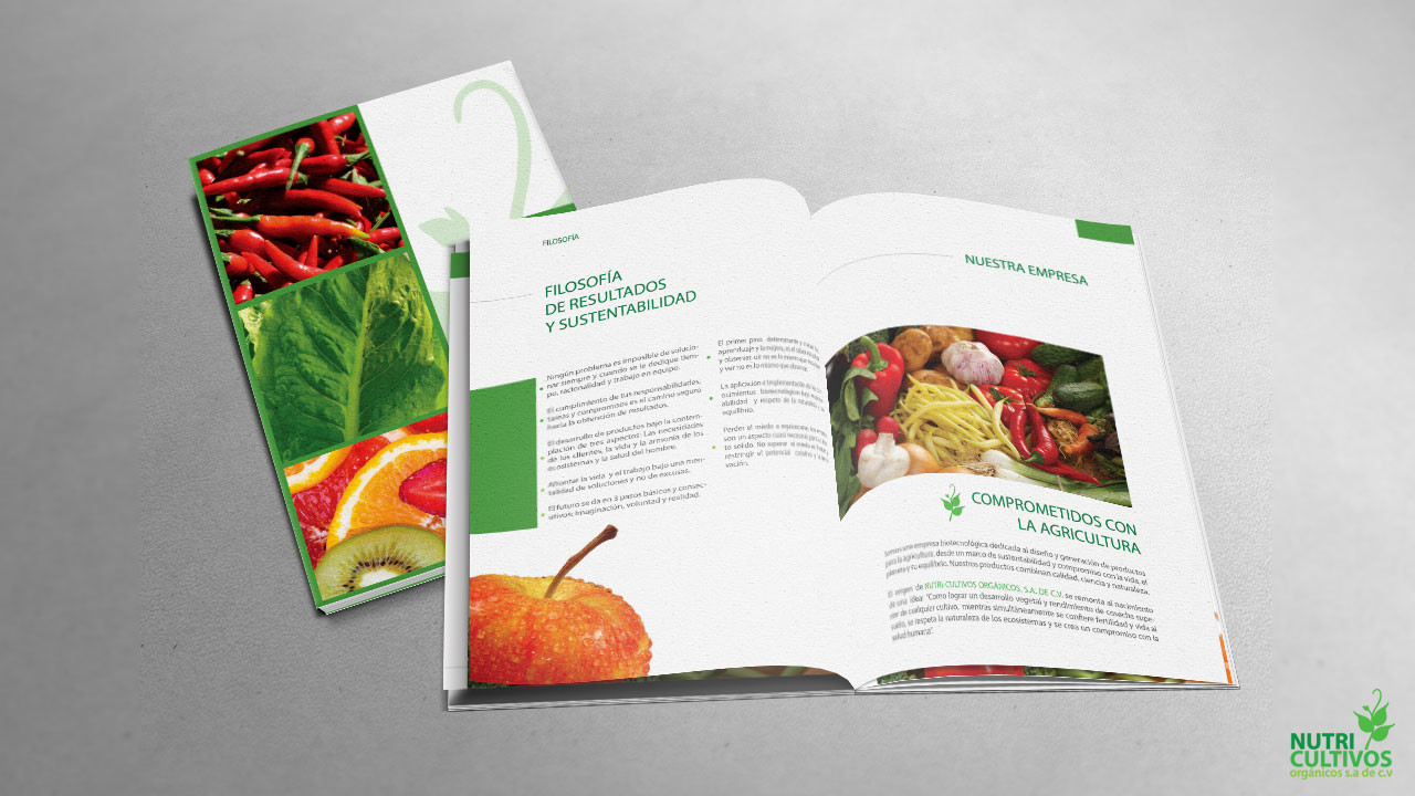 Brand Identity