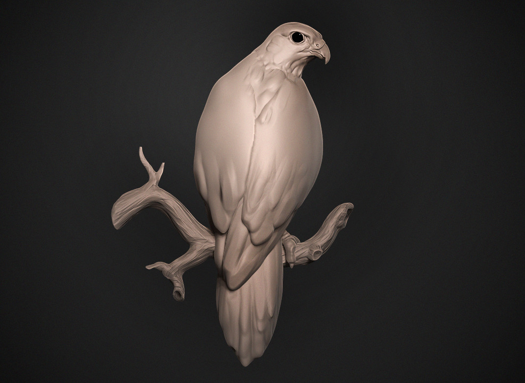 Clay Falcon