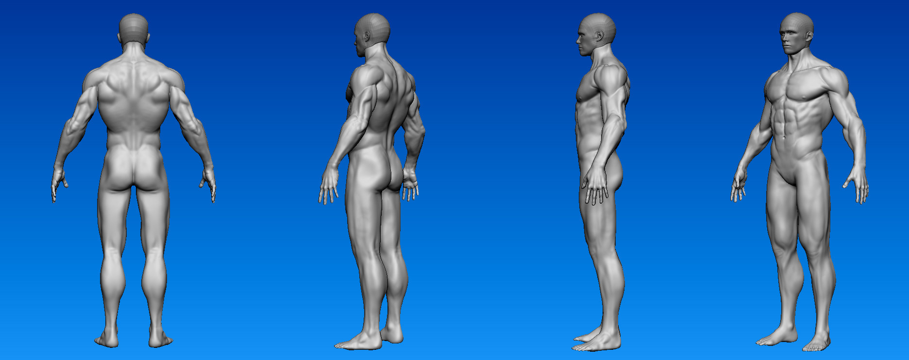 Artstation Male Anatomy Stylized