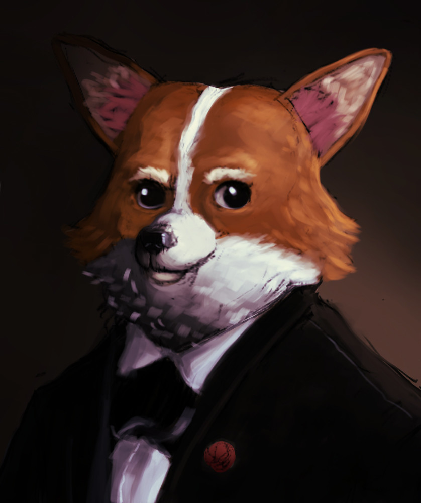 Fancy corgi sales