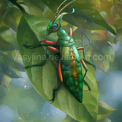 Vasilyna holod insect