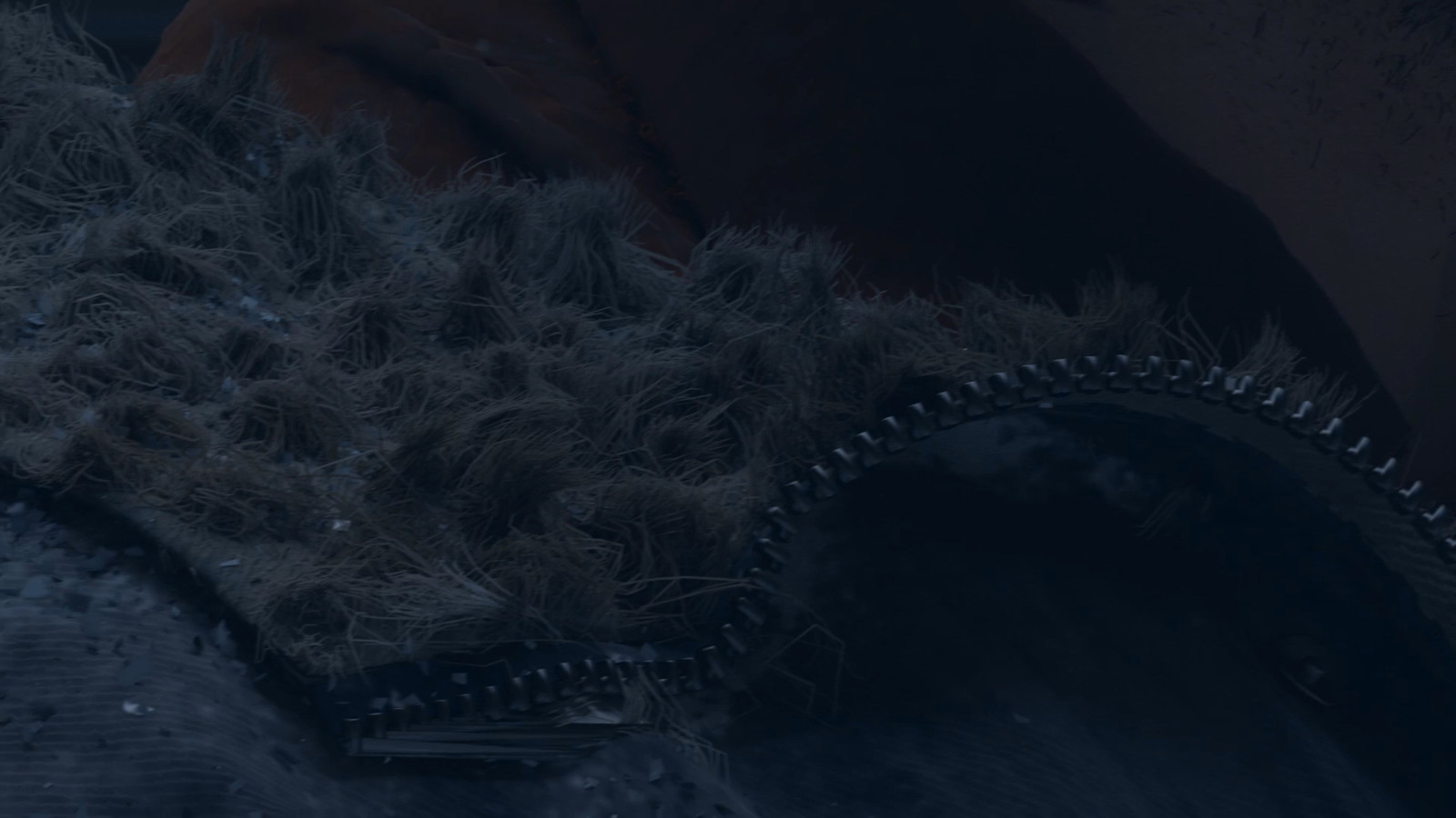 Only did the cloth, modeling texturing, shading and fur