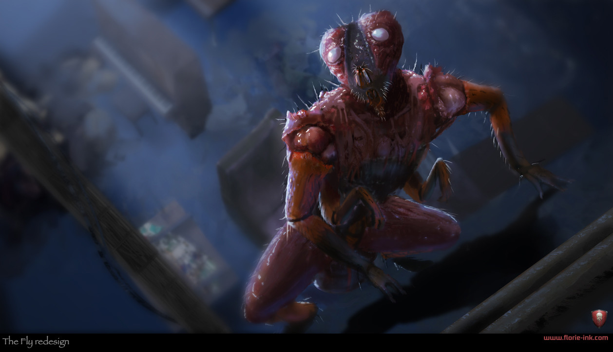 Artstation The Fly Redesign Robin Florie