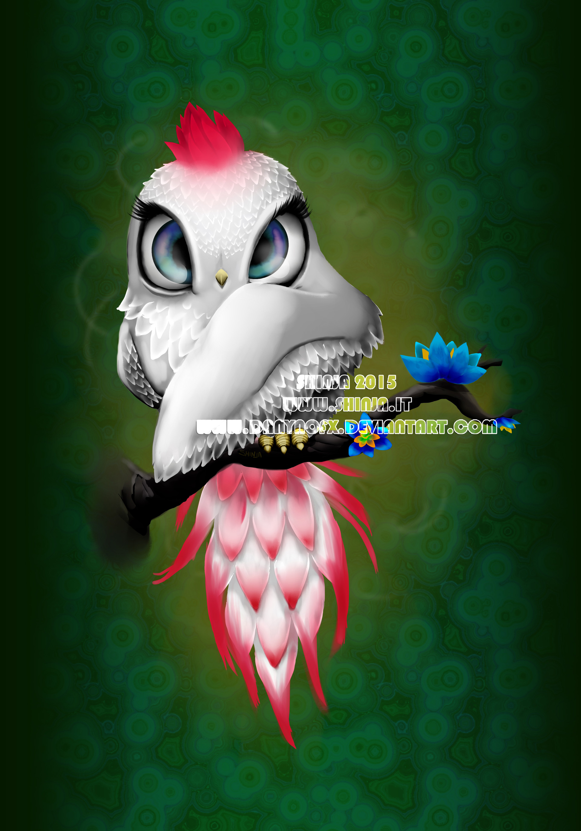 Danila peroni  kawaii parrot Danila peroni  kawaii parrot