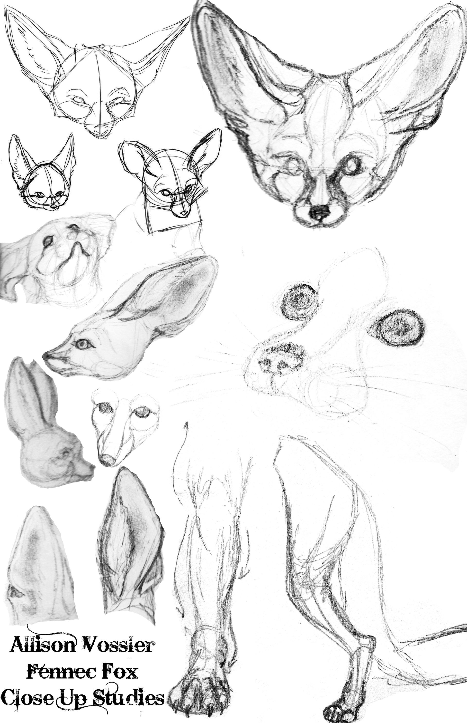 ArtStation Fennec Fox