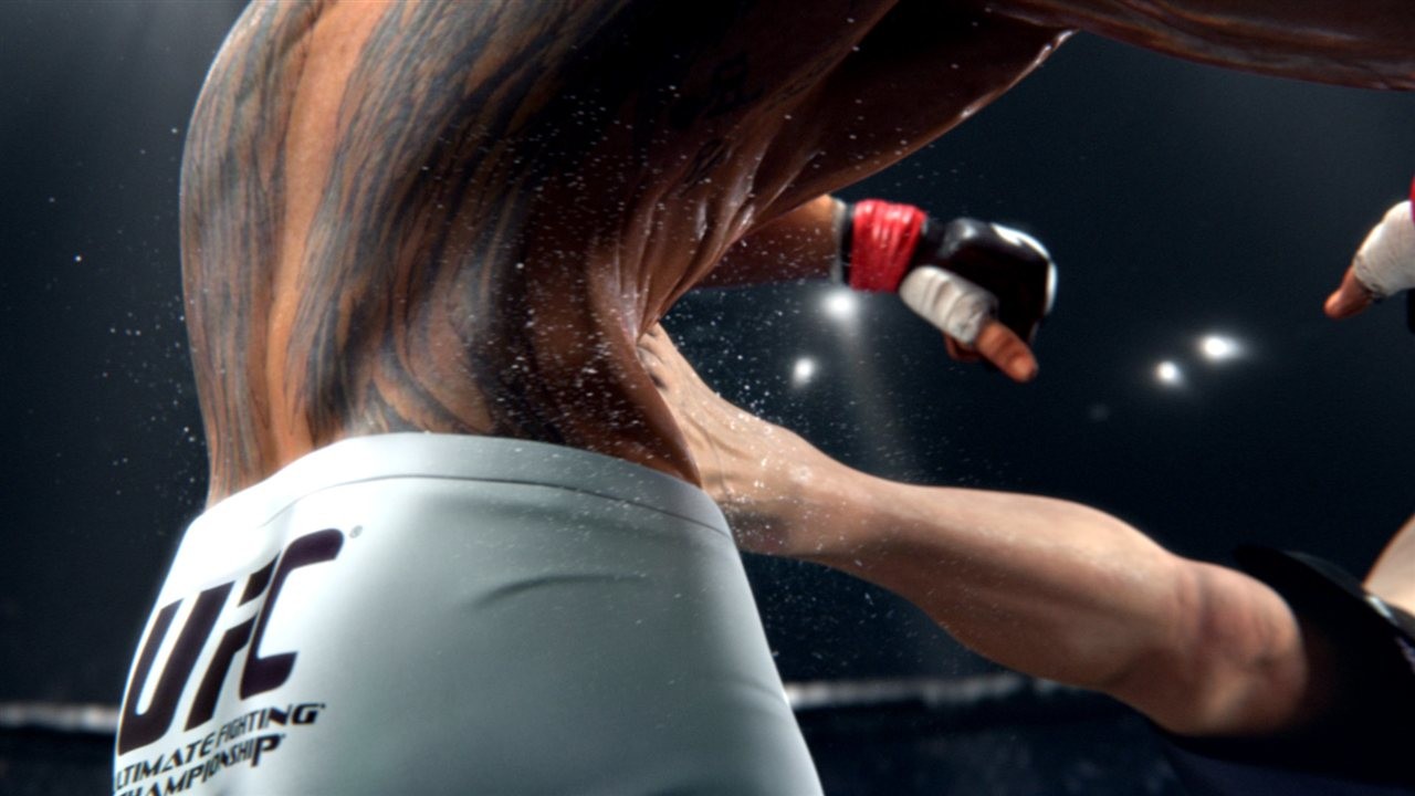 EA Sports UFC 2014