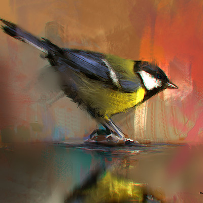 Psdelux 20160515 bird doodle psdelux