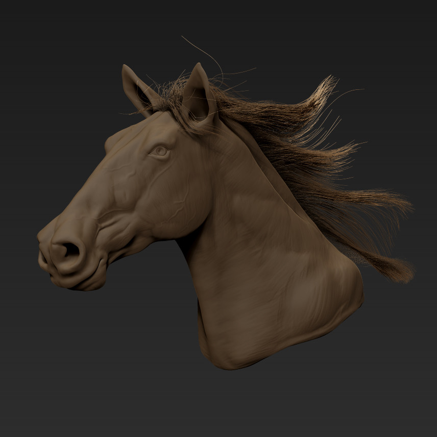 Horse Speed Sculpting