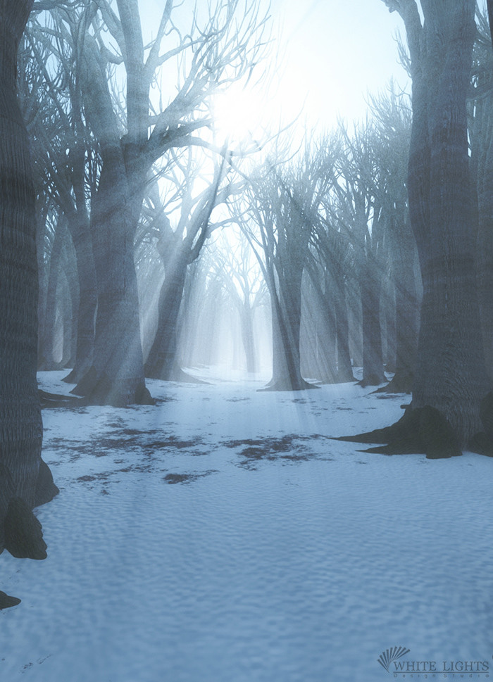 ArtStation - Winter Path