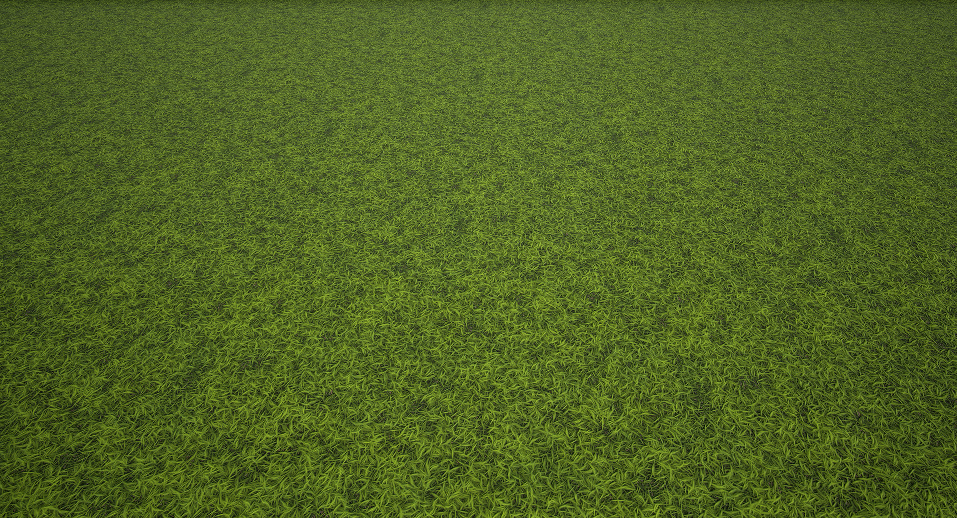 ArtStation Substance Designer Grass