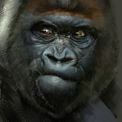Psdelux 20160602 gorilla psdelux