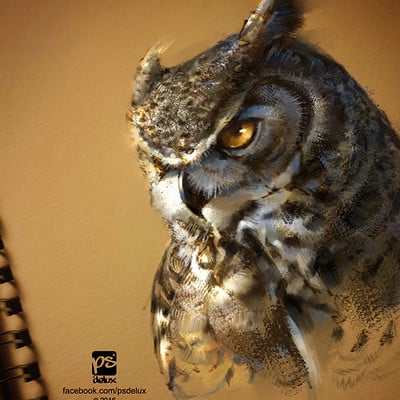 Psdelux 20160618 owl sketch to paint psdelux