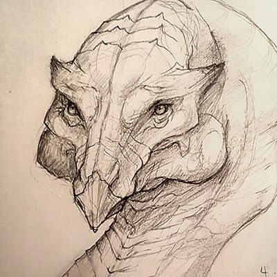 Dragon sketch