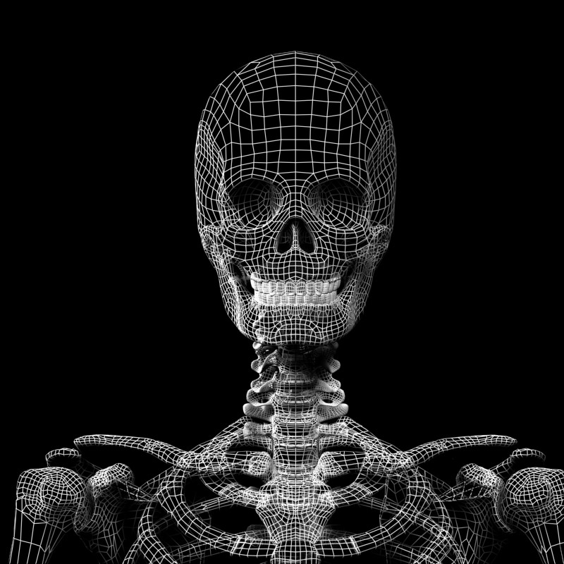 Облегченный скелет. Biped скелет. 3 Скелета. Skalet 3 d.