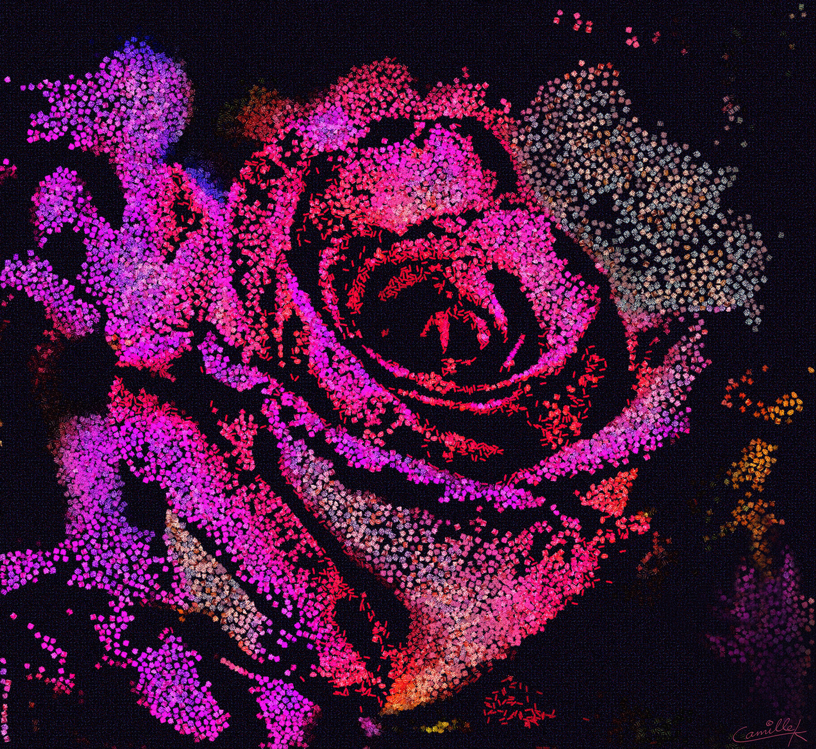 Artstation Abstract Rose Artwork Camille Kleinman