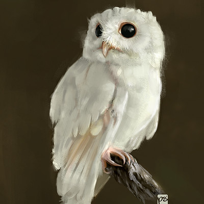 Psdelux 20160711 white owl psdelux