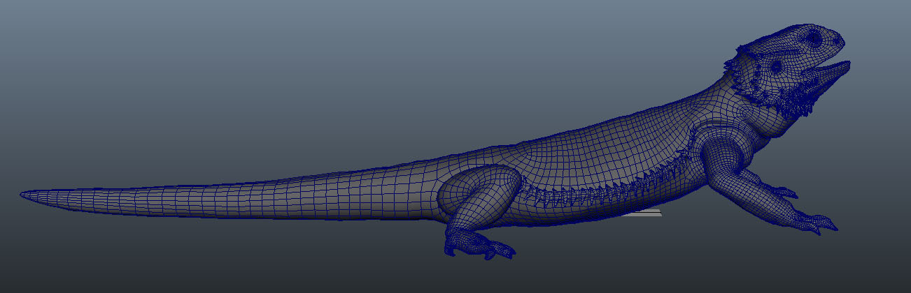 Artstation Bearded Dragon 3d Model Elliott Holland Crouch