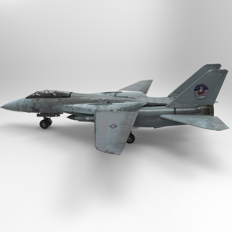 fighter f14