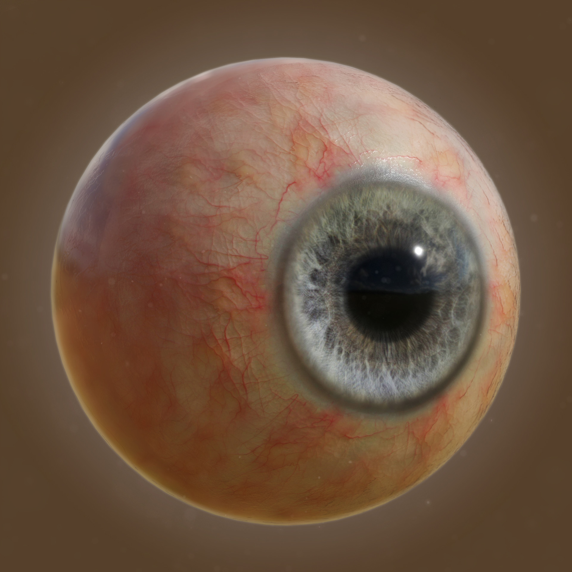 Eye full shop
