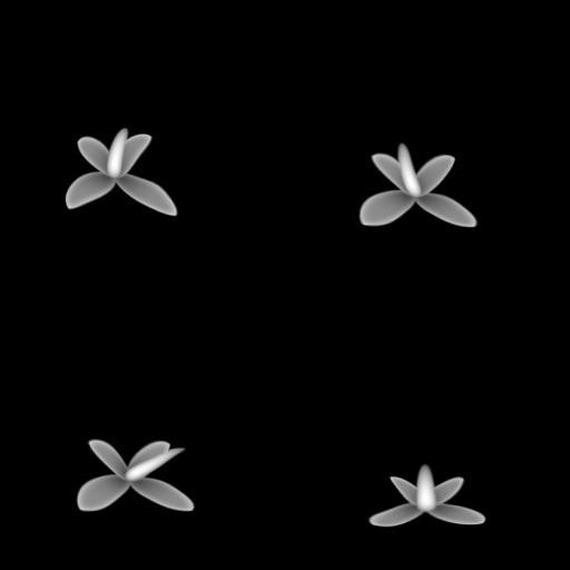 Flower Height