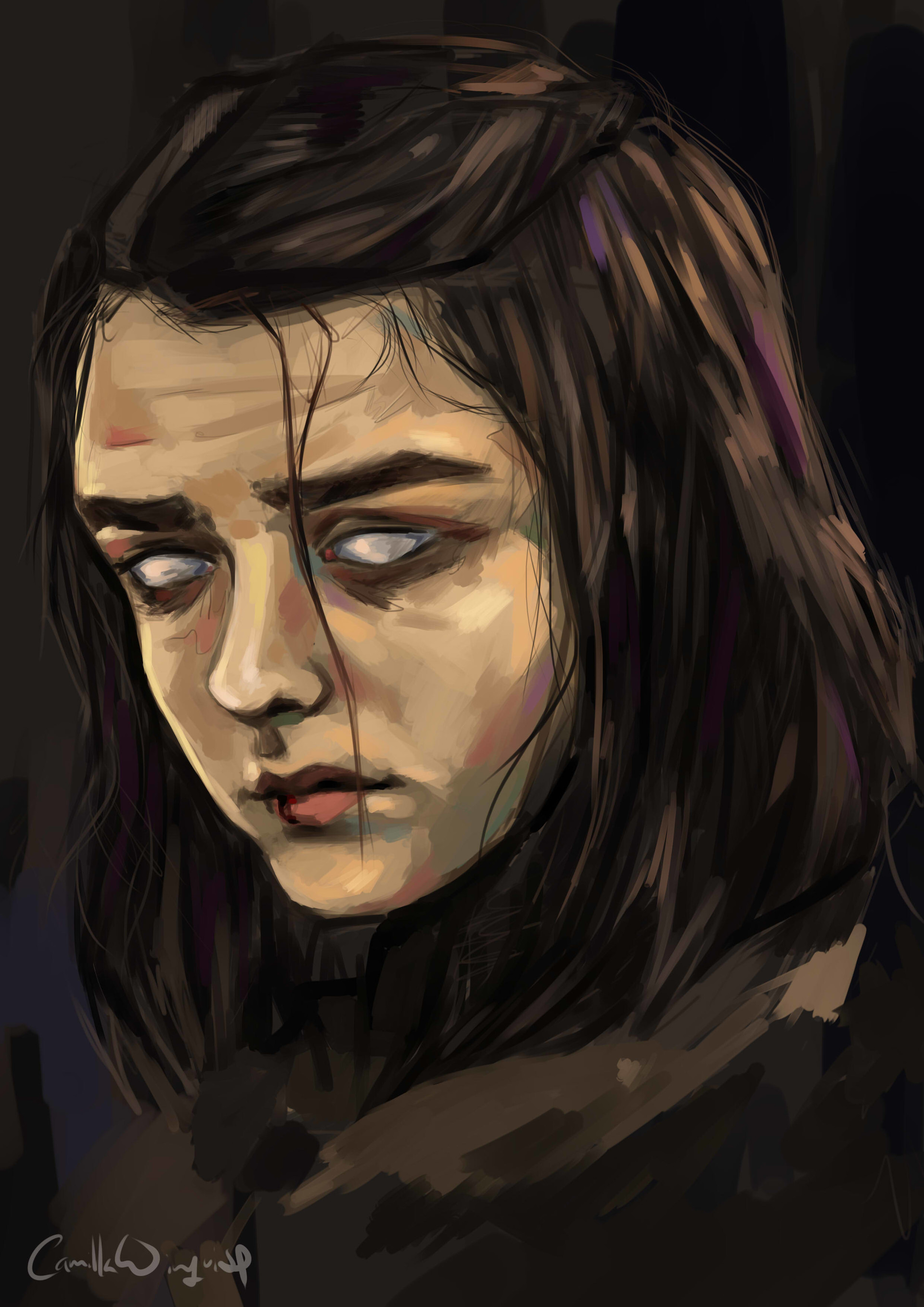 Portrait of the character <b>Arya</b> from Game of Thrones.