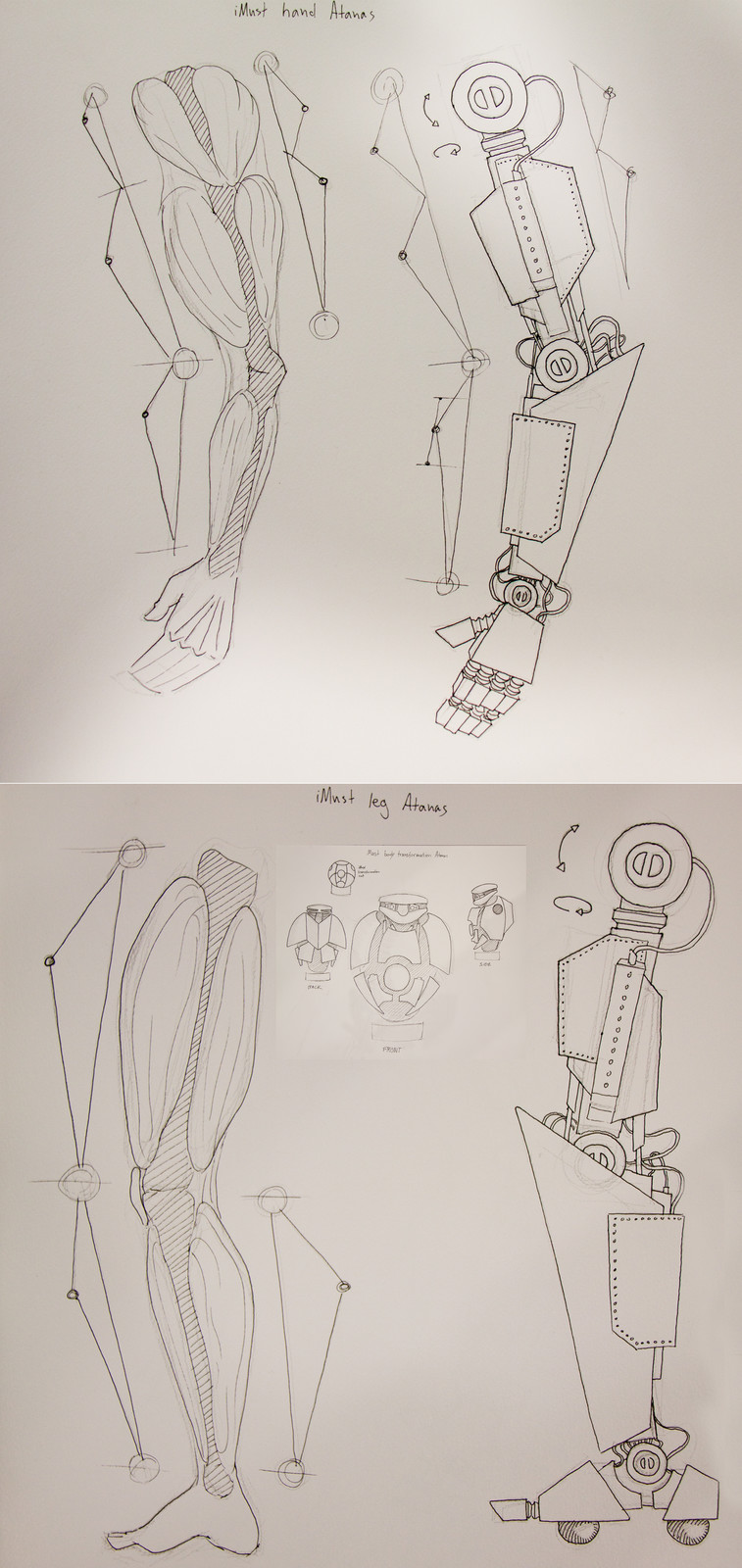 Designs based on the human forms