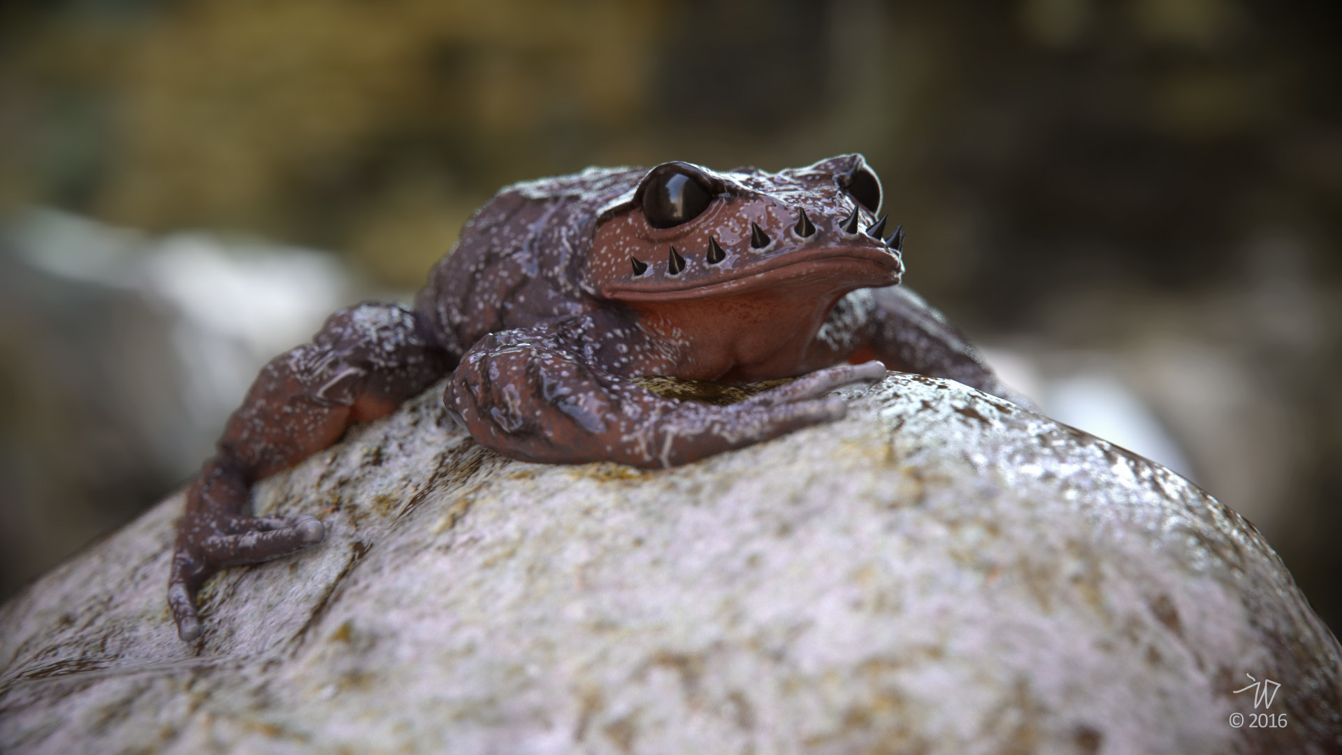 ArtStation Leptobrachium boringii