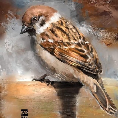Psdelux 20160817 sparrow psdelux
