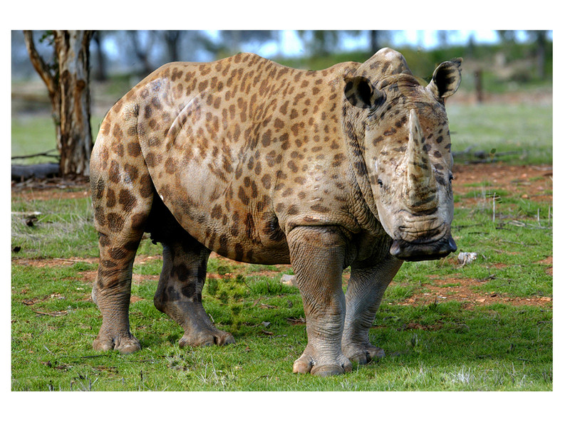 Jefferson Oliveira Photoshop Mesclagem